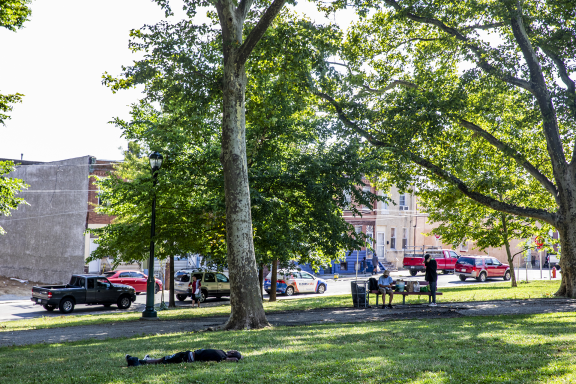 An urban grassy area with trees and a few people, cars passing by