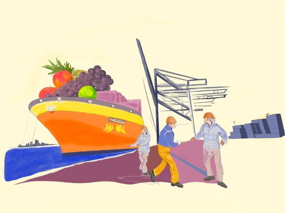 Illustration of a large ship holding fruit coming into port