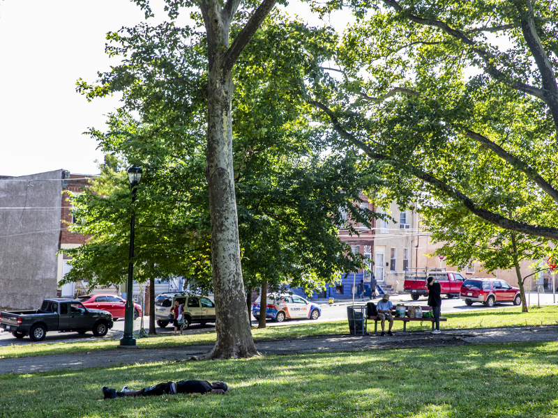 An urban grassy area with trees and a few people, cars passing by