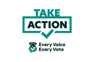 Take Action Logo