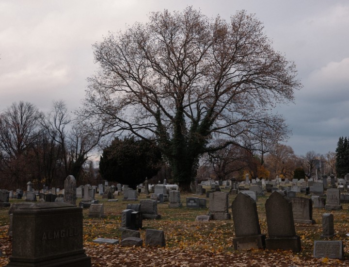 Graves at Philadelphia's Mount Peace Cemetery