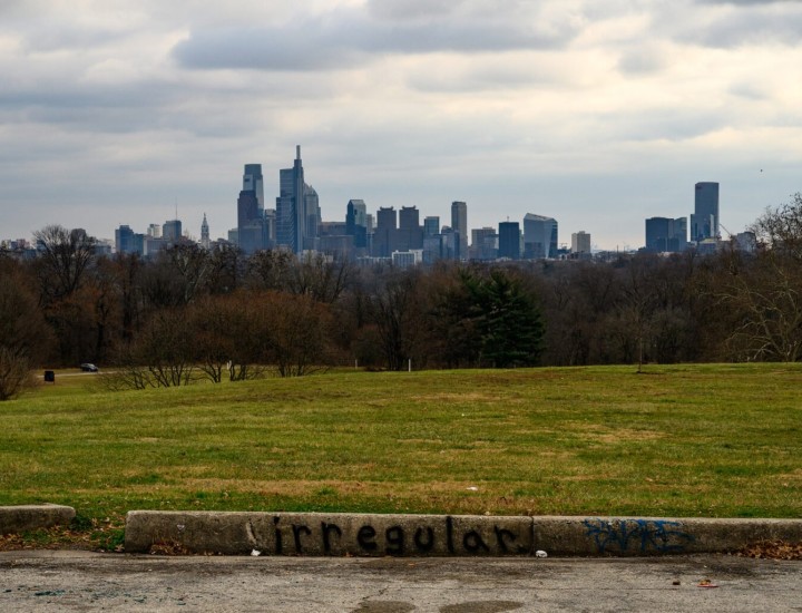 Park with a line of trees and the Philly skyline in the background